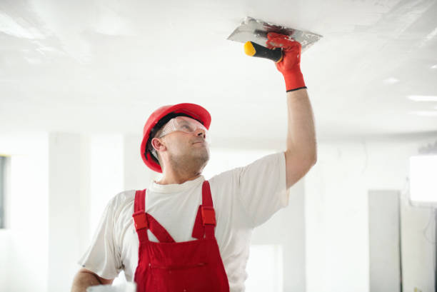 Best Fire-Damaged Drywall Repair  in Boynton Beach, FL